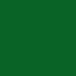 Peinture Aérosol BRAVO NESPOLI - Vert mousse (180038)