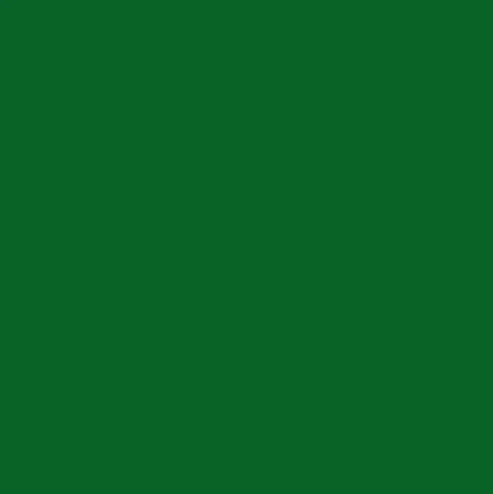 Peinture Aérosol BRAVO NESPOLI - Vert mousse (180038)
