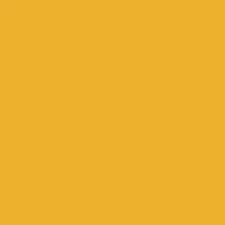 Peinture Aérosol BRAVO NESPOLI - Jaune signal (180013)