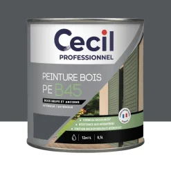 Peinture Bois Acrylique Cécil Professionnel PEB45 Anthracite mat