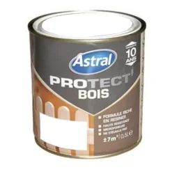 Peinture Bois ASTRAL Protect'Bois Ton Bois