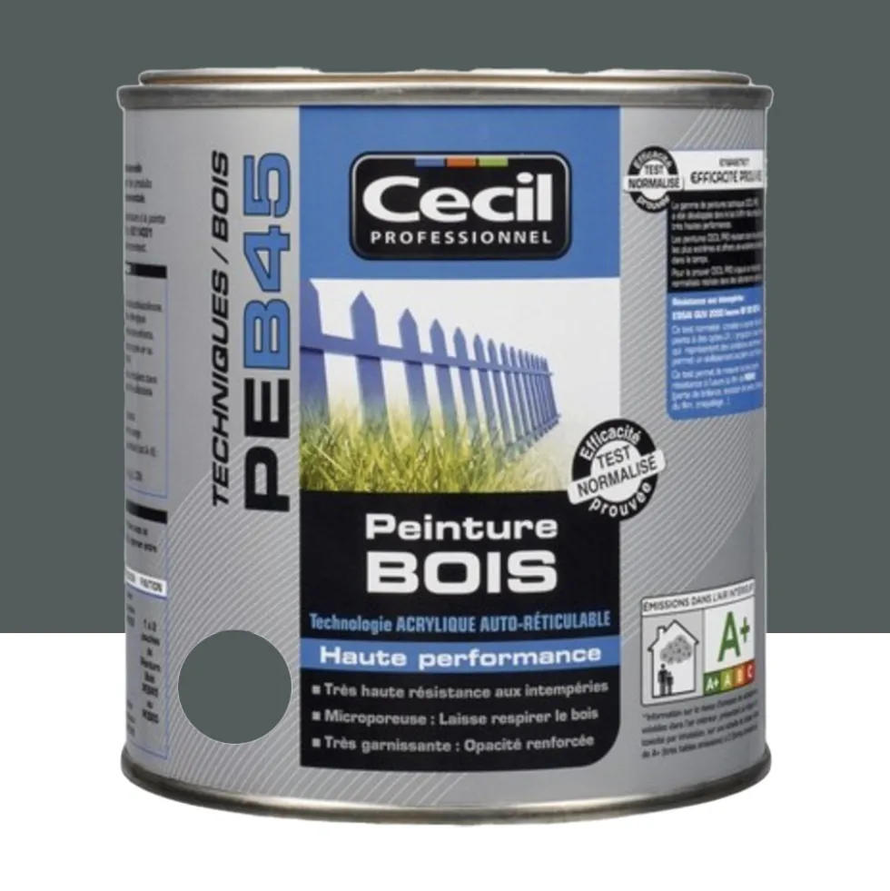 Peinture Bois Cécil Professionnel PEB45 Anthracite