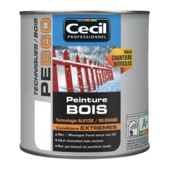 Peinture Bois Cécil Professionnel PEB60 Blanc brillant