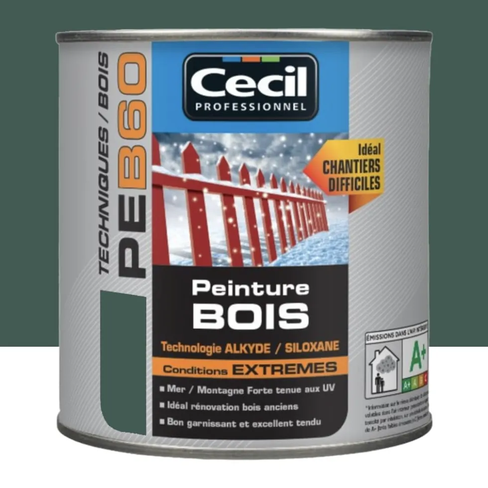 Peinture Bois Cécil Professionnel PEB60 Vert normand