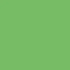 Peinture Bois Owatrol Mat Profond Vert de gris