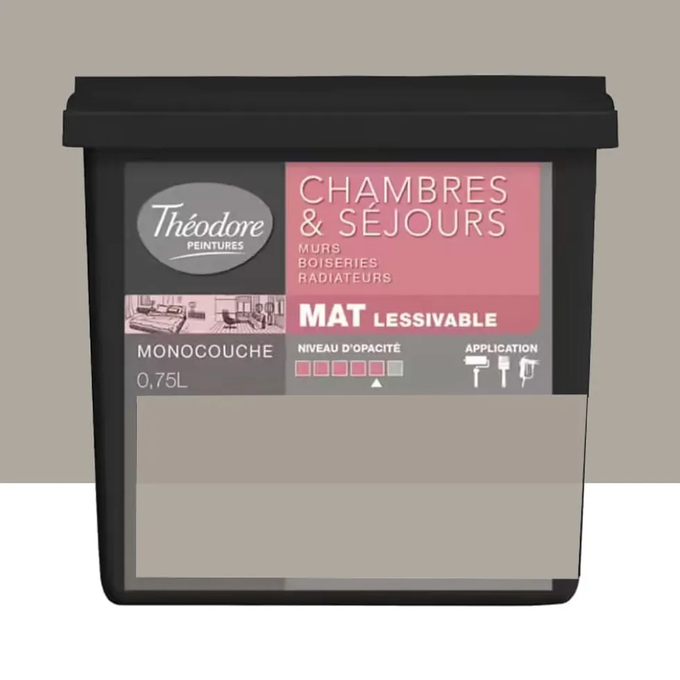 Peinture Chambres & Séjours Théodore Mat Monocouche Australien