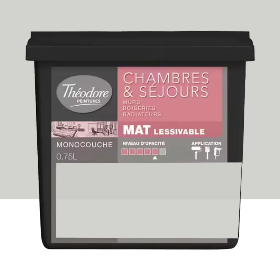 Peinture Chambres & Séjours Théodore Mat Monocouche Lune