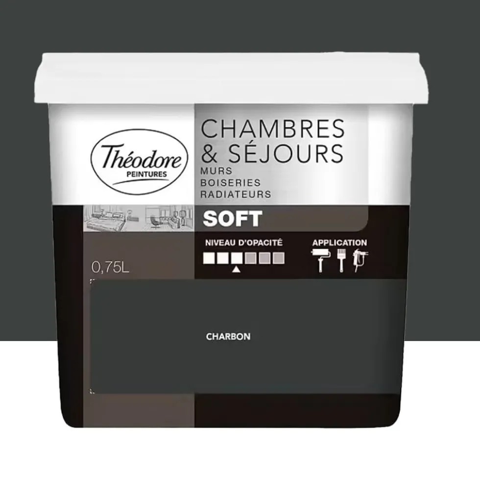 Peinture Chambres & Séjours Théodore Soft Charbon