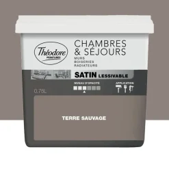 Peinture Chambres & Séjours Théodore Satin lessivable Terre sauvage