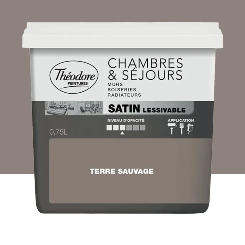 Peinture Chambres & Séjours Théodore Satin lessivable Terre sauvage