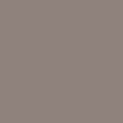 Peinture Chambres & Séjours Théodore Satin lessivable Terre sauvage