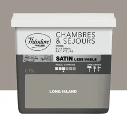 Peinture Chambres & Séjours Théodore Satin lessivable Long Island