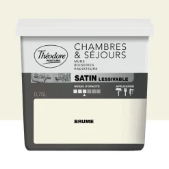Peinture Chambres & Séjours Théodore Satin lessivable Brume