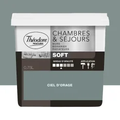 Peinture Chambres & Séjours Théodore Soft Ciel d'orage