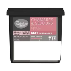 Peinture Chambres & Séjours Théodore Mat Monocouche Blanc