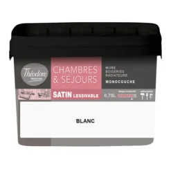 Peinture Chambres & Séjours Théodore Satin Monocouche Blanc