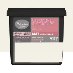Peinture Chambres & Séjours Théodore Mat Monocouche Kimono