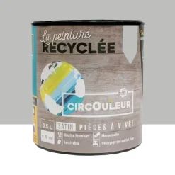 Peinture CIRCOULEUR Koala