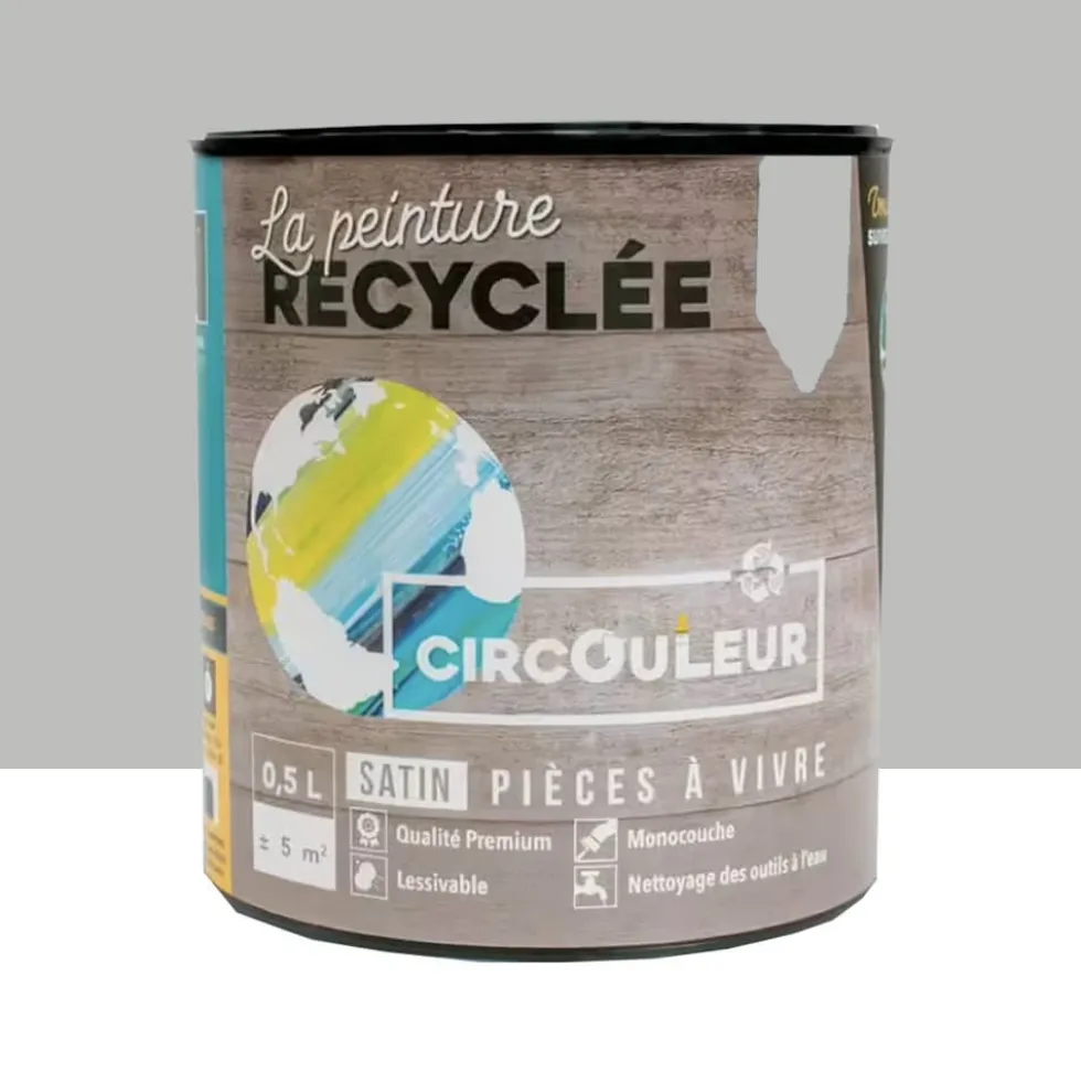 Peinture CIRCOULEUR Koala