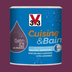 Peinture Cuisine & Bain V33 Figue de barbarie n°36