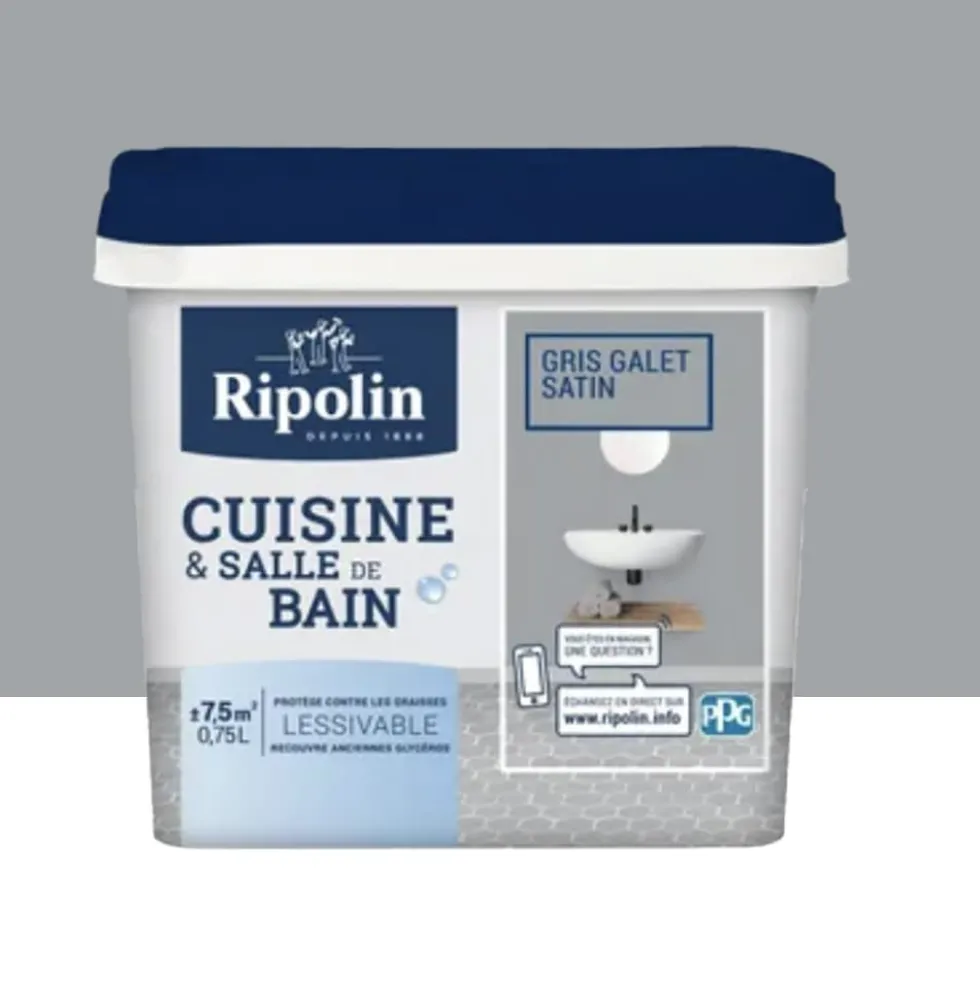 Peinture Cuisine & Salle de Bain RIPOLIN Gris galet