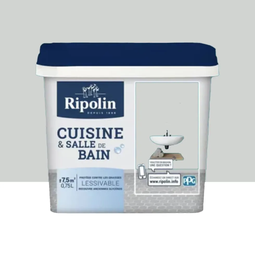 Peinture Cuisine & Salle de Bain RIPOLIN Gris lomé