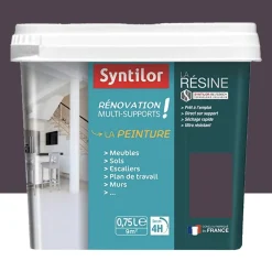 Peinture de Rénovation Multi-supports Syntilor Gris graphite