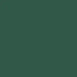Peinture DULUX VALENTINE Ecran+ Multi-supports Vert Basque