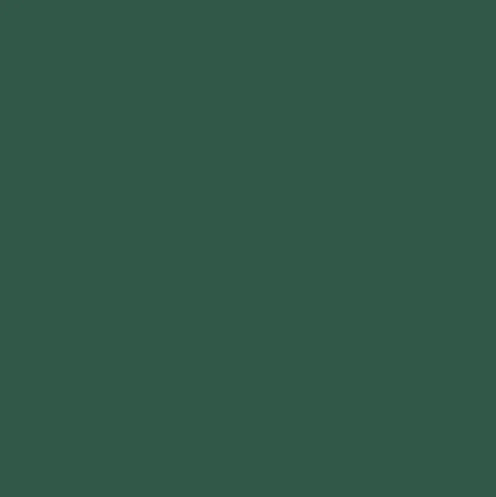 Peinture DULUX VALENTINE Ecran+ Multi-supports Vert Basque