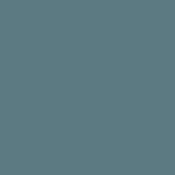 Peinture DULUX VALENTINE Ecran+ Bois Bleu tempête