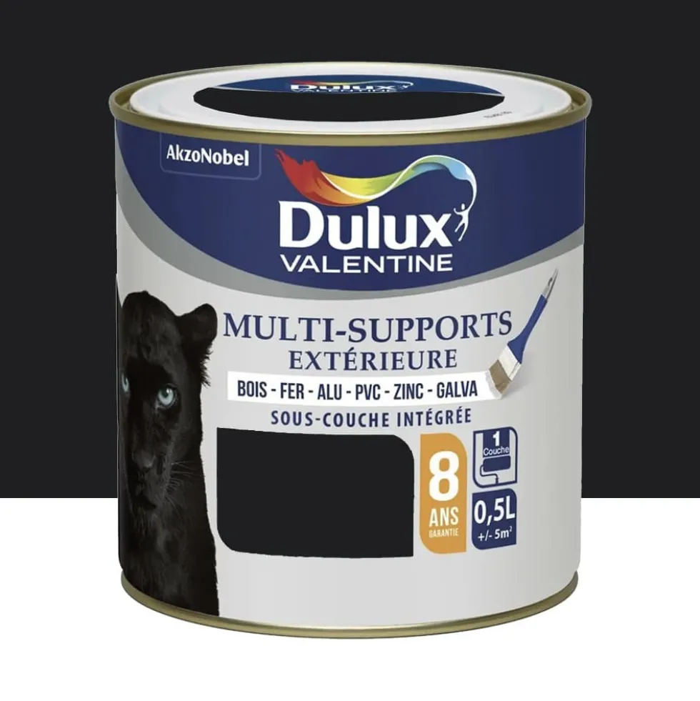 Peinture Dulux Valentine multi-supports extérieure Noir