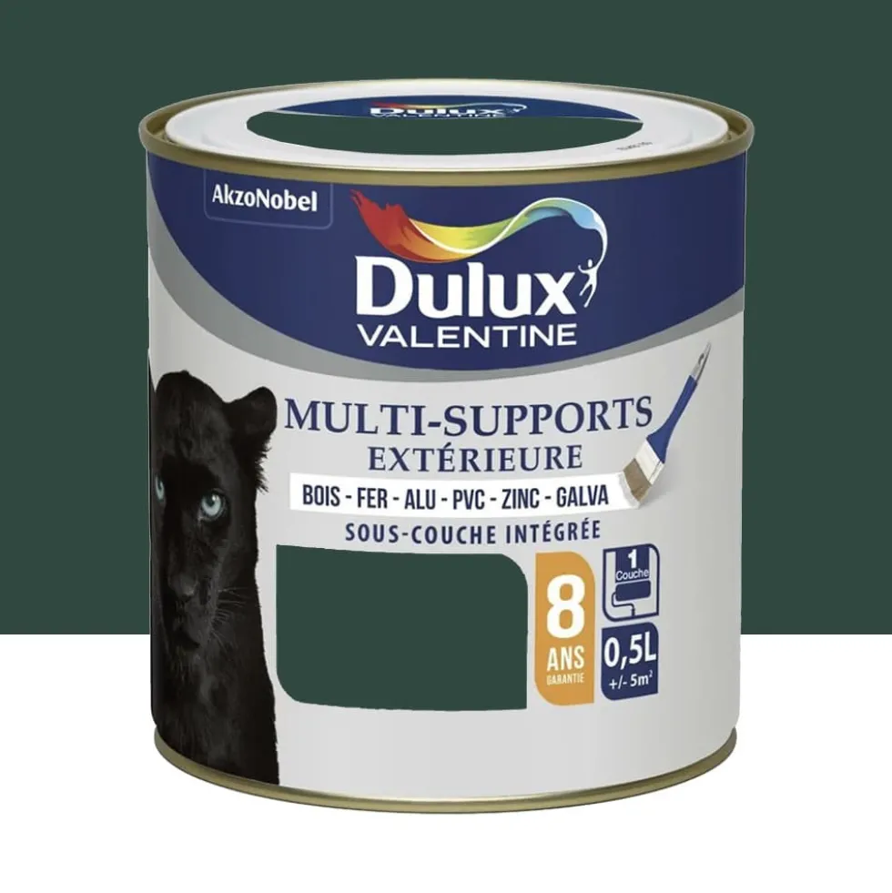 Peinture Dulux Valentine multi-supports extérieure Vert Basque