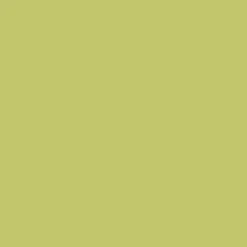 Peinture Dulux Valentine multi-supports extérieure Vert Anis