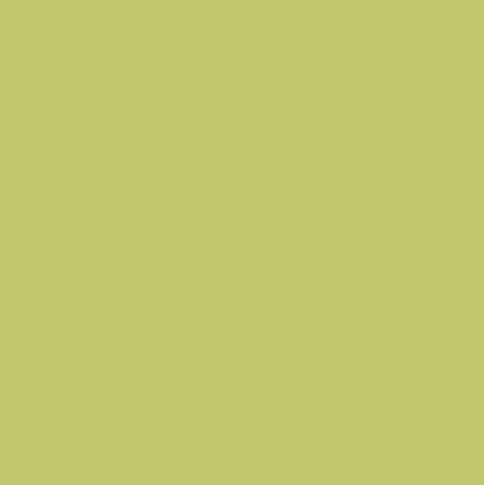 Peinture Dulux Valentine multi-supports extérieure Vert Anis