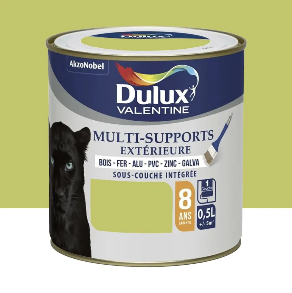 Peinture Dulux Valentine multi-supports extérieure Vert Anis