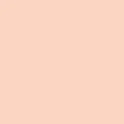 Peinture Eco Respectueuse ID Nude
