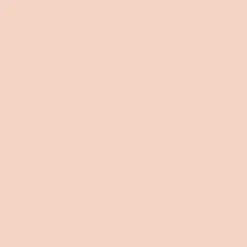 Peinture Eco Satin ID Nude