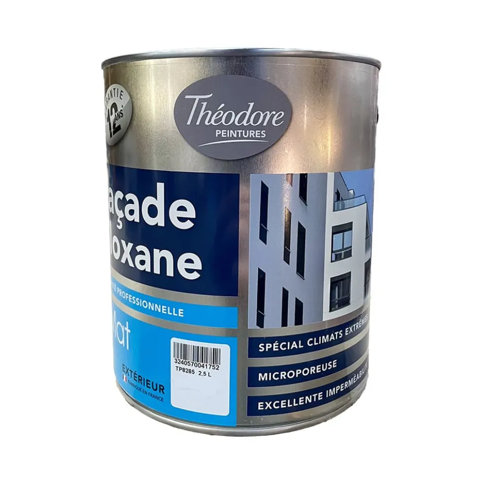 Peinture façade siloxane Théodore Blanc