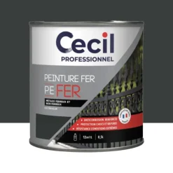 Peinture Fer Glycéro Cécil Professionnel PE FER Noir Mat