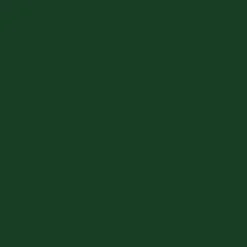 Peinture Fer Hammerite Direct sur Rouille Brillant Vert buisson