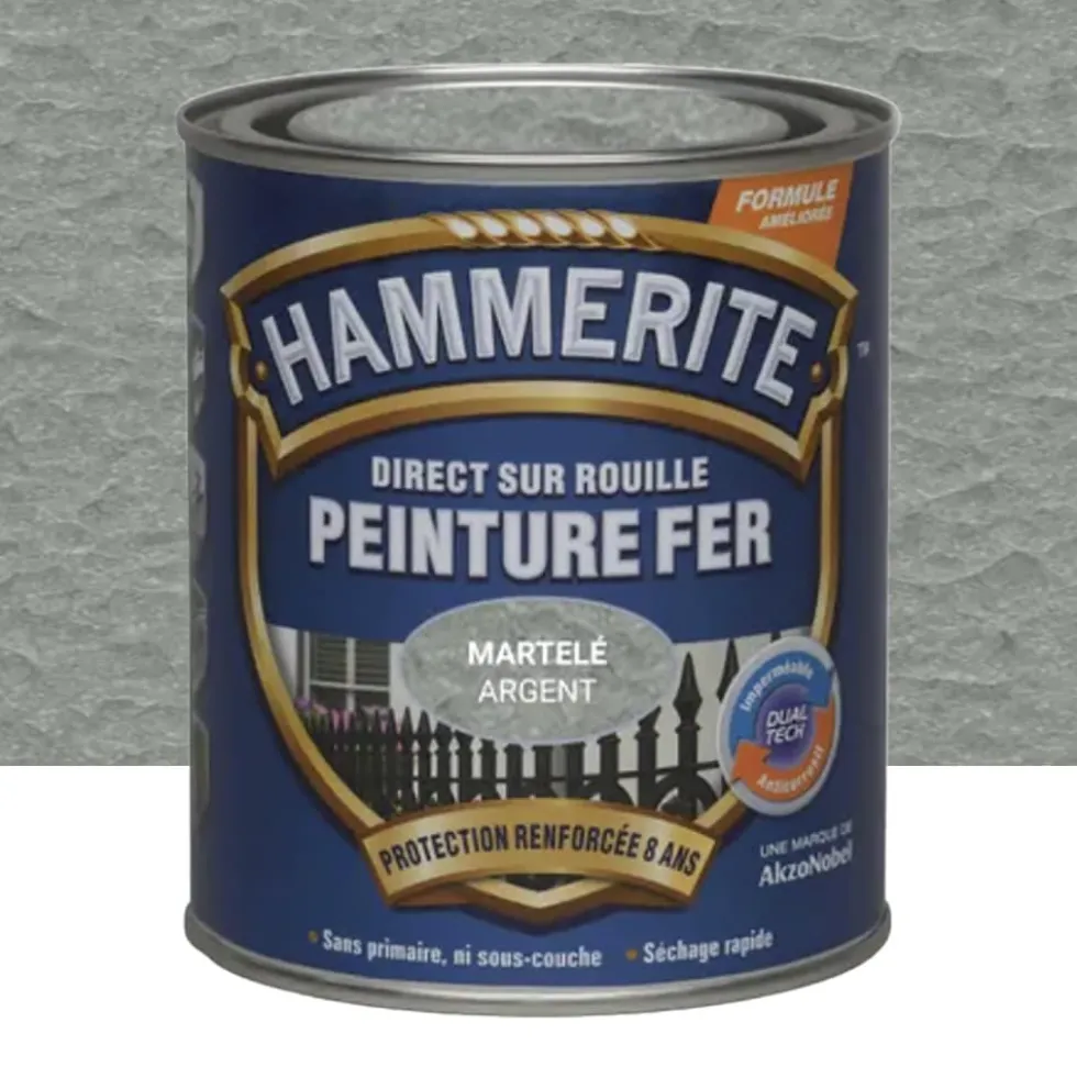 Peinture Fer Hammerite Direct sur Rouille Gris argent martelé