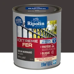 Peinture Fer RIPOLIN Extreme Fer Bi-Activ Brun Normand
