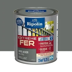 Peinture Fer RIPOLIN Extreme Fer Bi-Activ Gris Acier