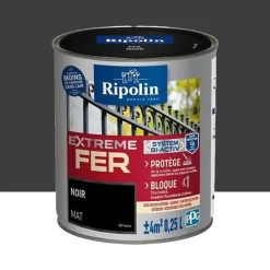 Peinture Fer RIPOLIN Extreme Fer Bi-Activ Noir mat