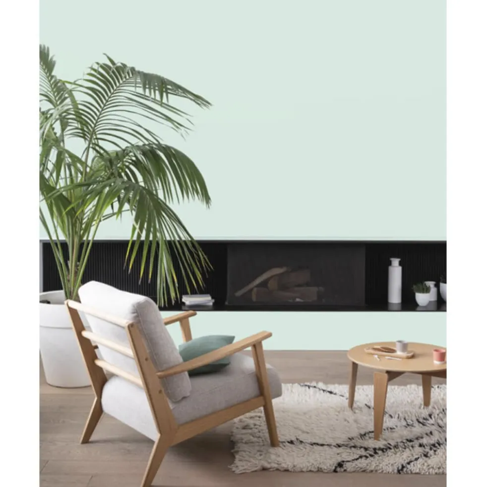 Peinture intérieure V33 Colorissim Satin Vapeur verte