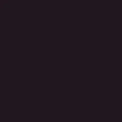 Peinture LIBÉRON Noirs Nuance Black Purple mat