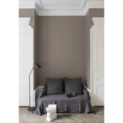 Peinture LIBÉRON Velours de Peinture Gris souris