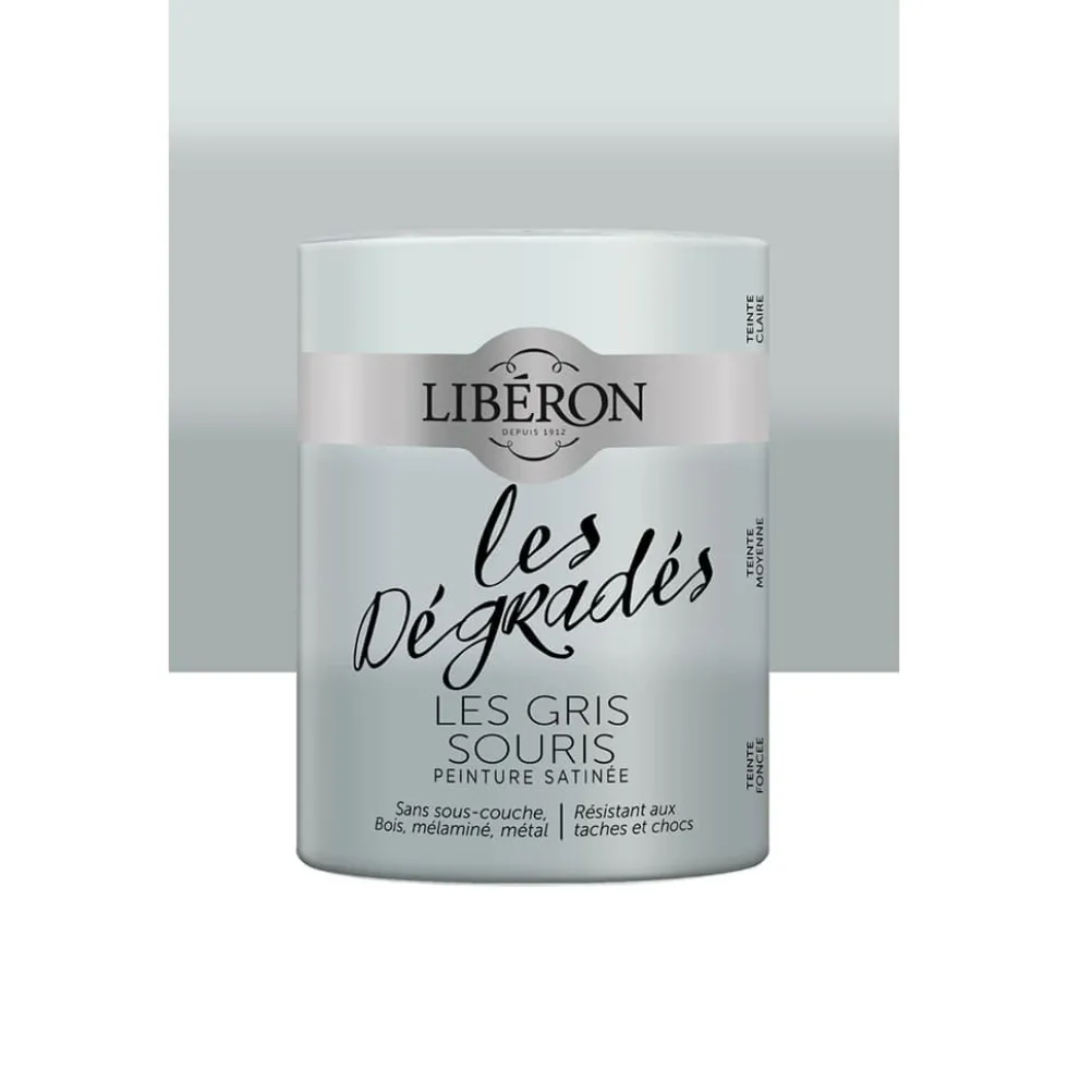 Peinture meuble LIBÉRON "Les Dégradés" Les Gris Souris