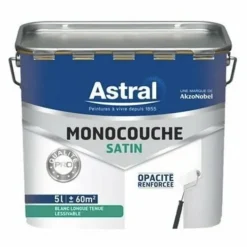 Peinture Monocouche Satin ASTRAL Qualité Pro Blanc