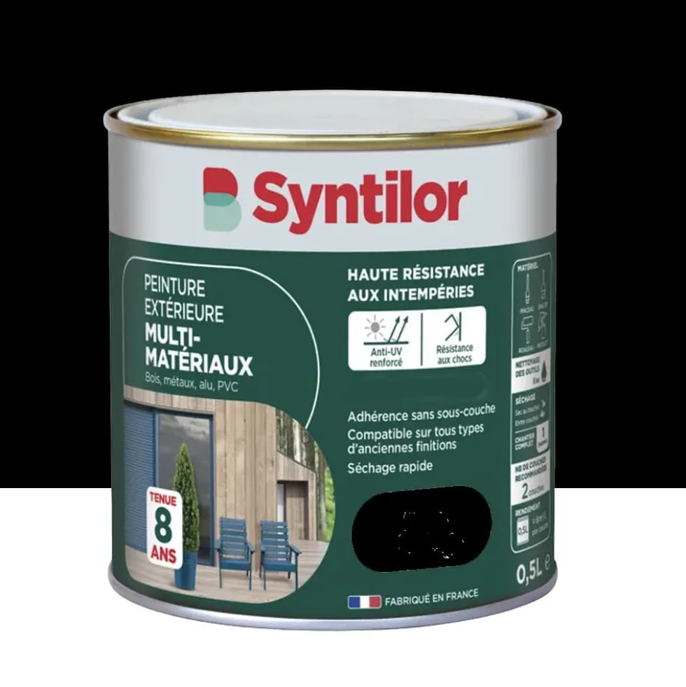 Peinture Multi-Matériaux Extérieure SYNTILOR Noir